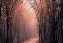 江南体育：B费：我收藏了很多球衣，有C罗和梅西的；伊涅斯.