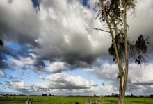 江南体育：托马斯·巴赫当选国际奥委会终身名誉主席央视新闻客户端.