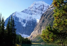 江南体育：国足主帅伊万：面对澳大利亚队，要勇敢也要踢得聪明杭州网.